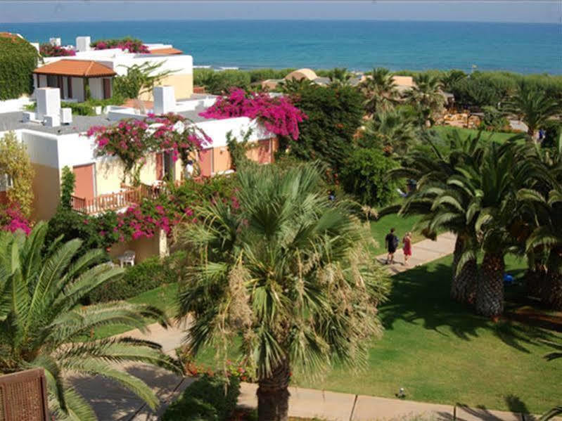 Oasis Beach Hotel - Adults Only Anissaras Eksteriør bilde